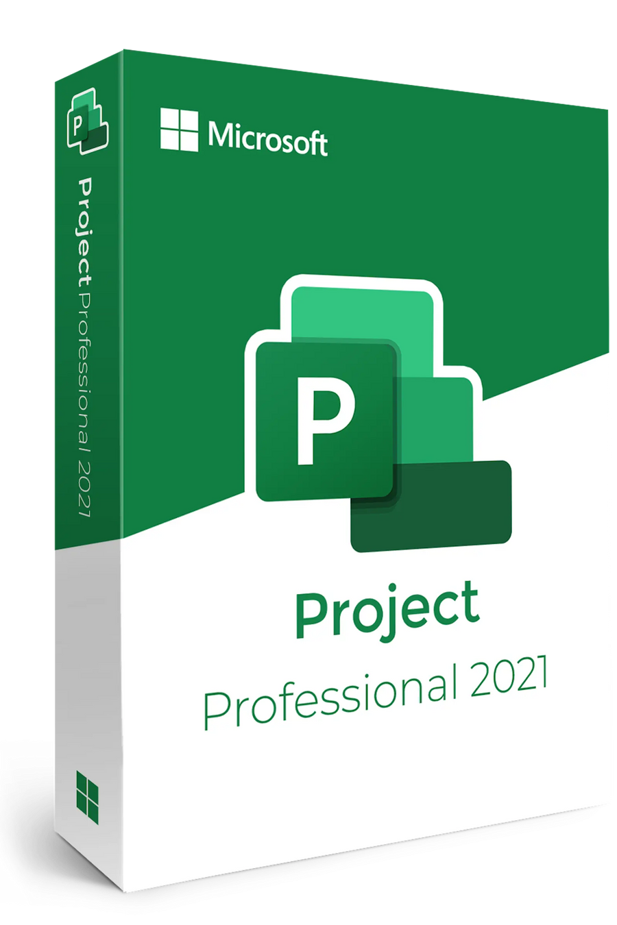 Project Professional 2021 - Retail