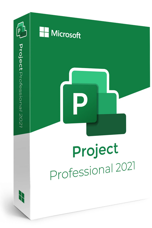 Project Professional 2021 - Retail